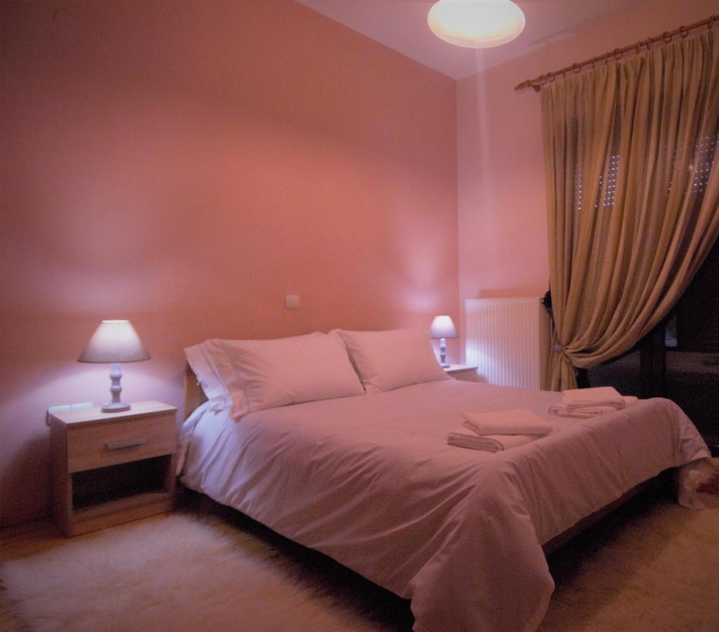 הוילה Elati Electra'S Cozy House מראה חיצוני תמונה