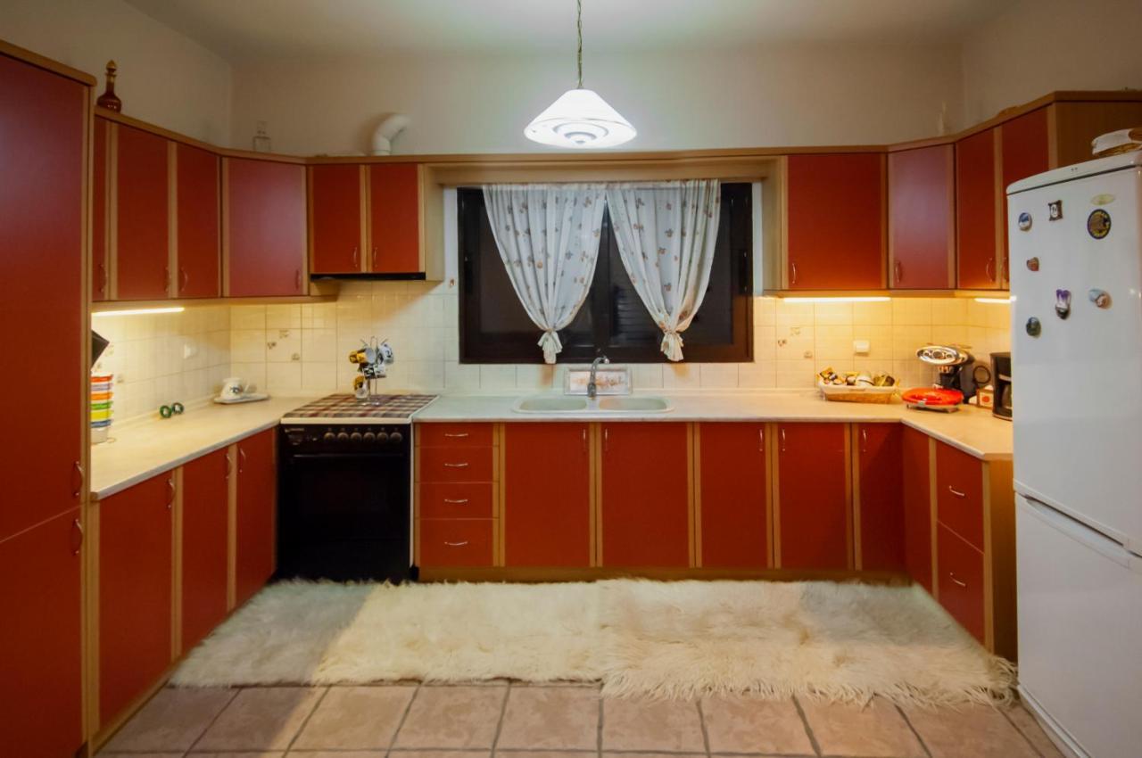 הוילה Elati Electra'S Cozy House מראה חיצוני תמונה