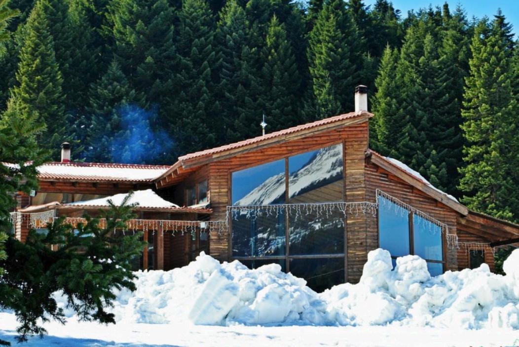 הוילה Elati Electra'S Cozy House מראה חיצוני תמונה